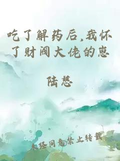 吃了解药后,我怀了财阀大佬的崽