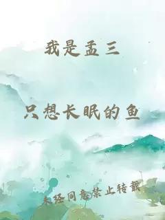 我是孟三